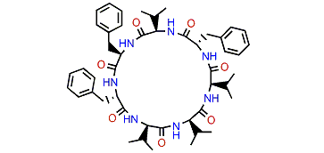 Mortiamide B